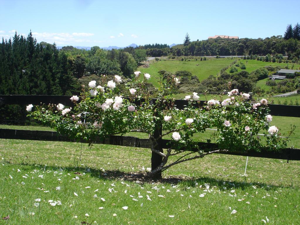 Country Homestead At Black Sheep Farm Waipu Kültér fotó